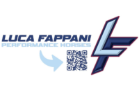 Luca Fappani Performance Horses