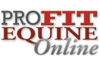 Pro Fit Equine