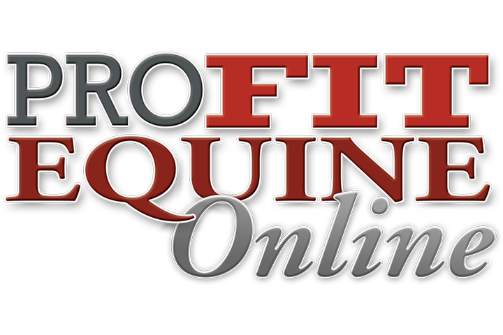Pro Fit Equine