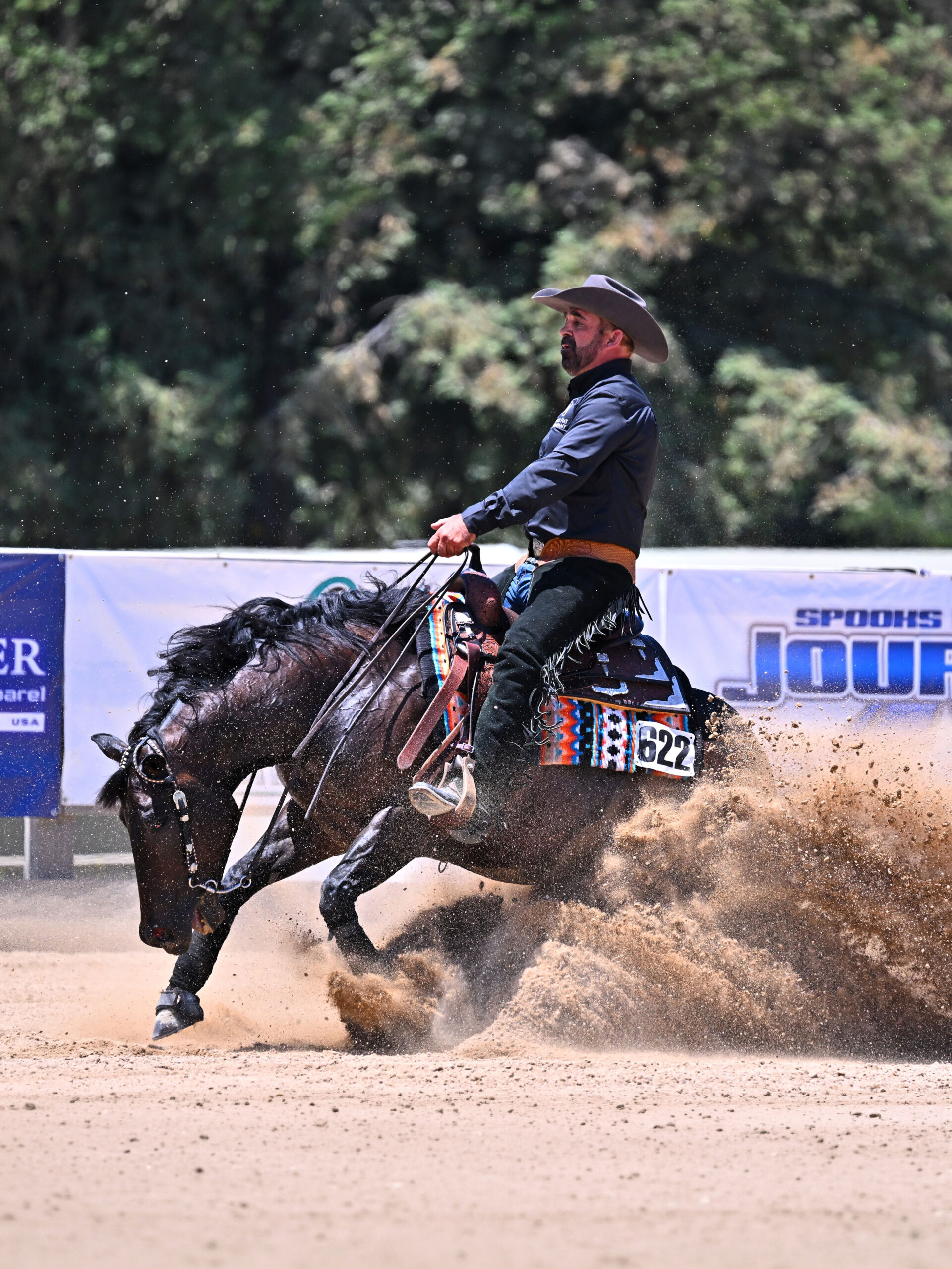 A reining horse executing a sliding stop